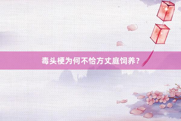 毒头梗为何不恰方丈庭饲养？
