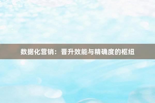 数据化营销：晋升效能与精确度的枢纽